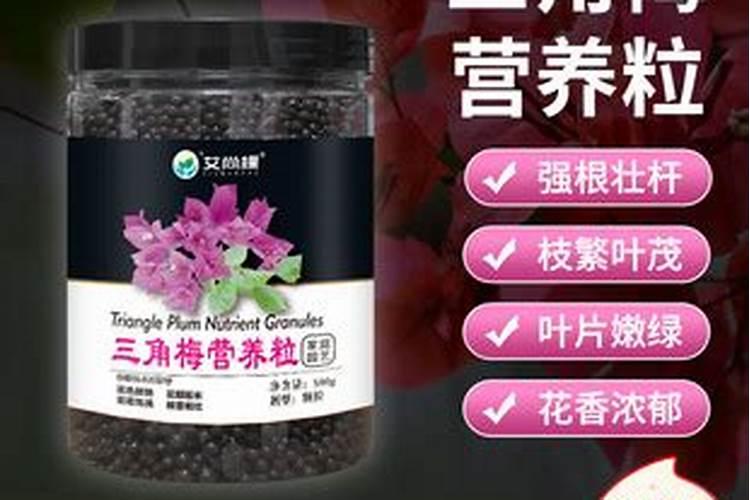 三角梅施什么肥最好？