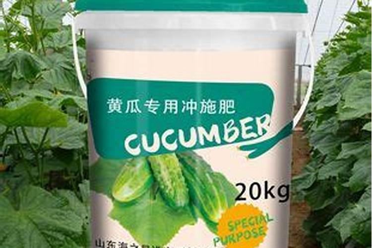 黄瓜最忌追施什么肥料,黄瓜施什么肥产量最高？