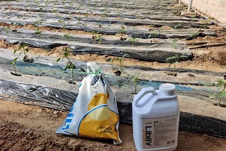 大量元素水溶肥掌握4点使用方法