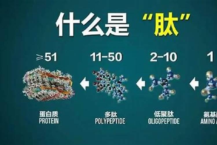 市场上超火的鱼胶原蛋白肽到底有神奇作用