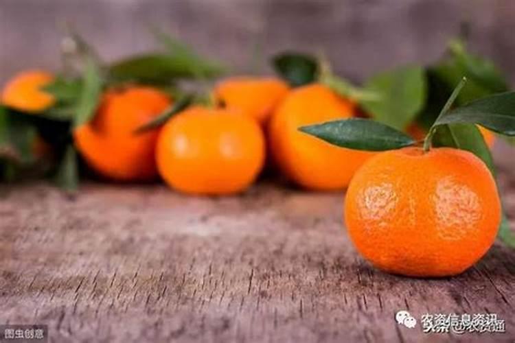 蓝莓滴灌交替肥可以吗