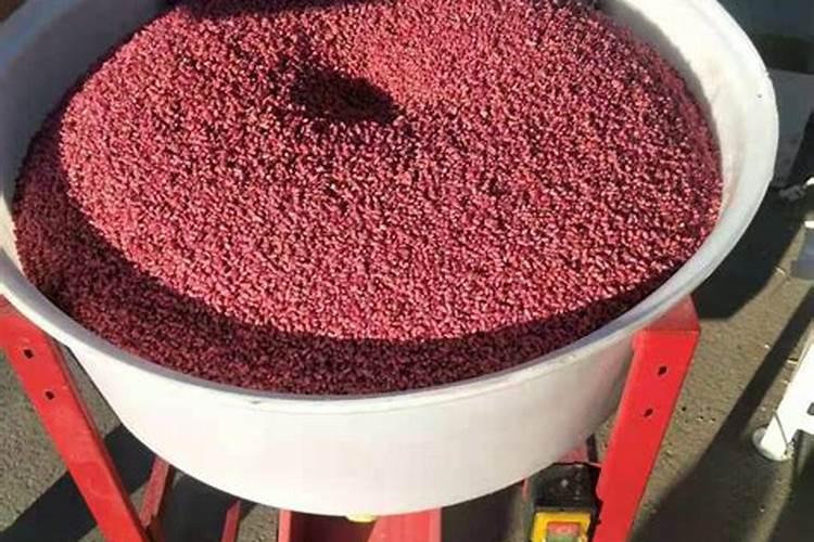 磷肥拌种下苗会烧苗吗