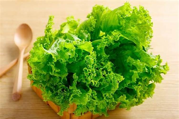 种植大棚韭菜需要高钾肥料吗