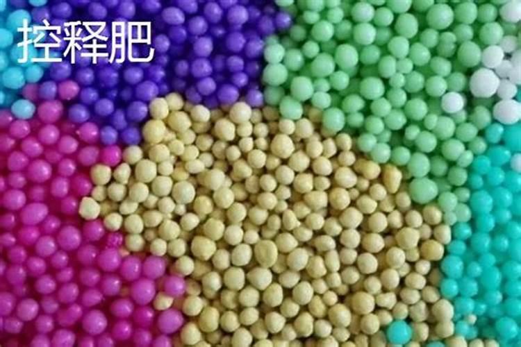 生菜如何浇水和施肥？昆仑风均衡营养促增收