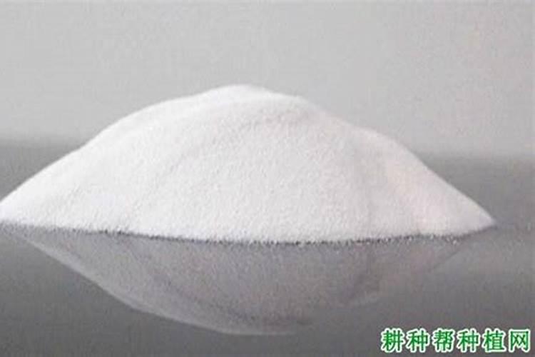 什么叶面肥最好 叶面肥哪个好