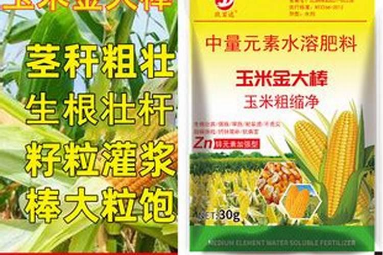 玉米锌肥叶面喷施用量