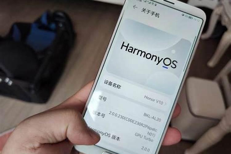 甜菜高效种植技术要点 甜菜养护应该注意什么