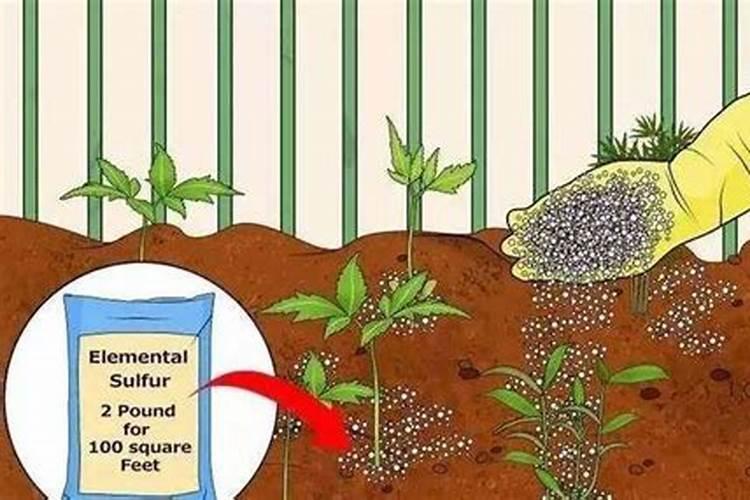 怎样改良土壤的碱性