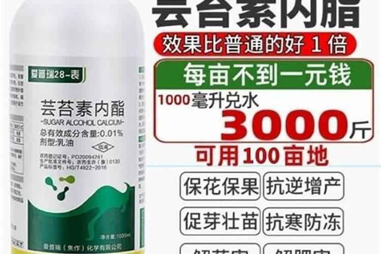 “万能”的芸苔素内酯,你用对了吗？附最全使用方案