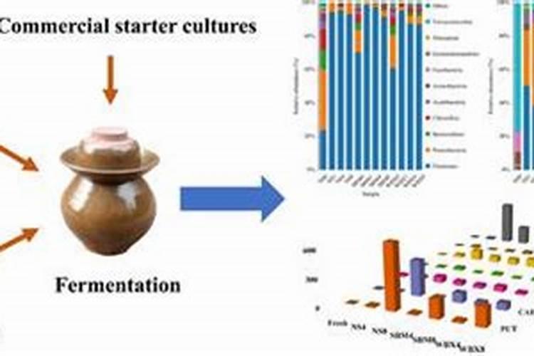 最简单的鱼蛋白水溶肥制作方法