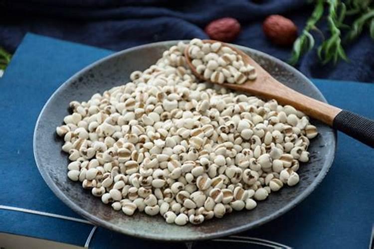 发酵的红豆黑豆薏米是否能做花肥