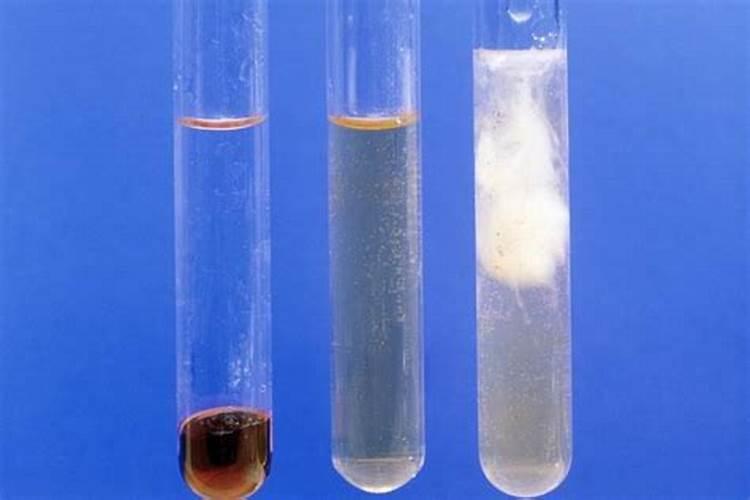 春季柑橘琳树发芽前可以喷施硼肥吗？