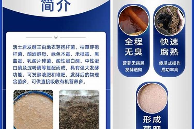 死鱼怎么样发酵可以做水肥？