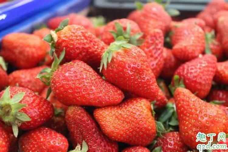 草莓养根用什么水溶肥好