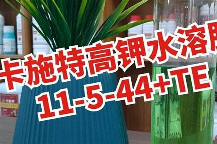 茉莉花大量元素水溶肥用什么好