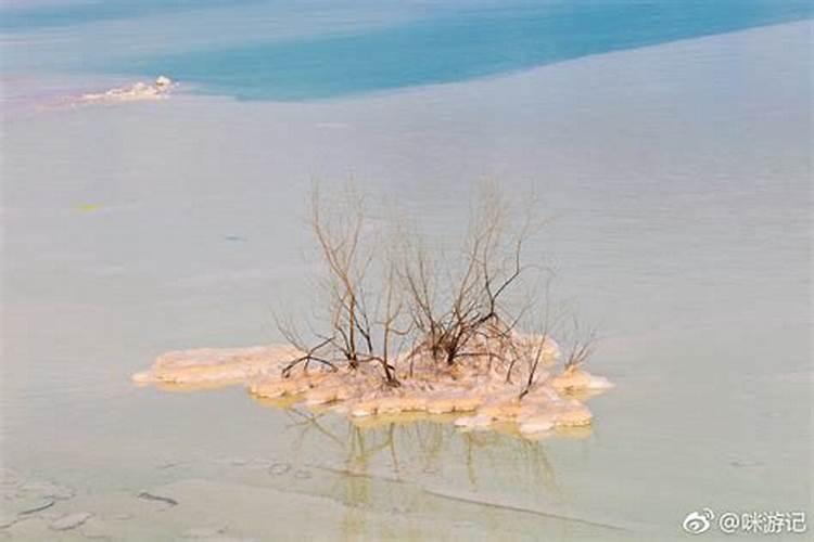 目前钾肥磷肥哪个价格高