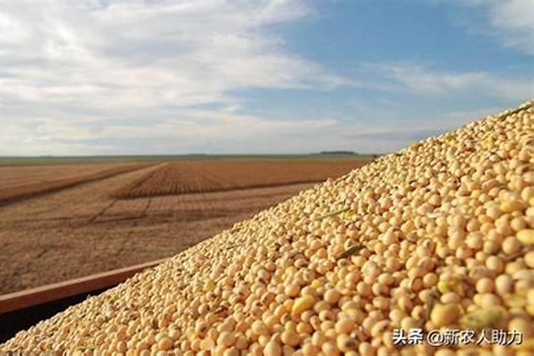 生活中常见的天然氮肥有哪些