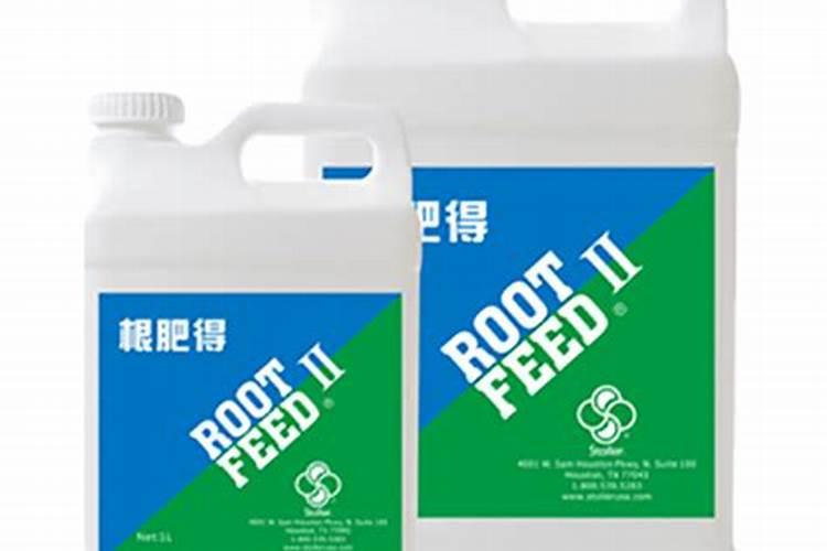 正确防治巨峰葡萄落花落果