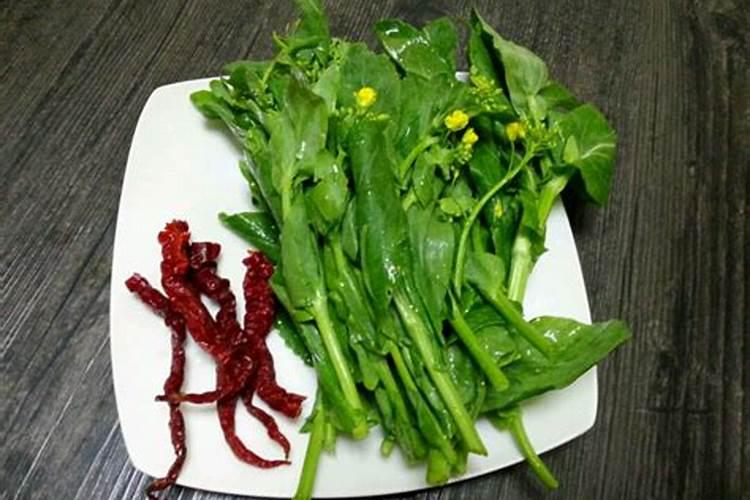 红油菜苔种植时间和方法