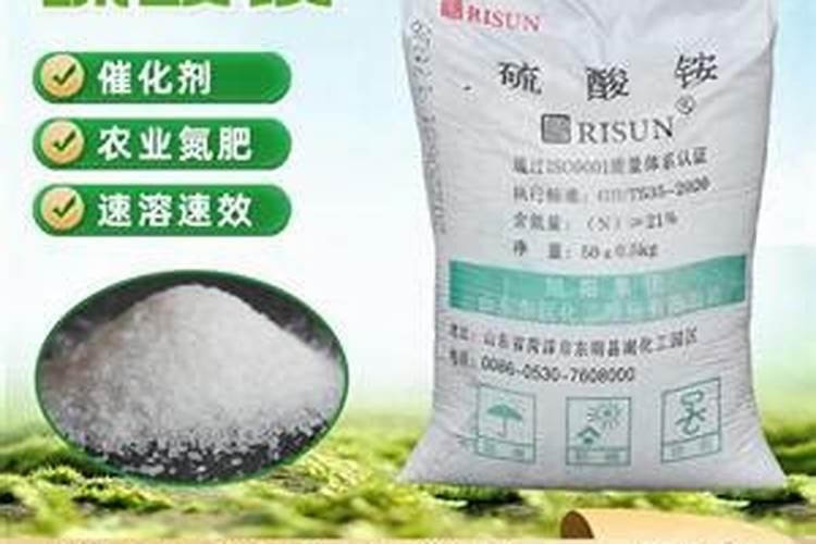 速效氮肥有什么