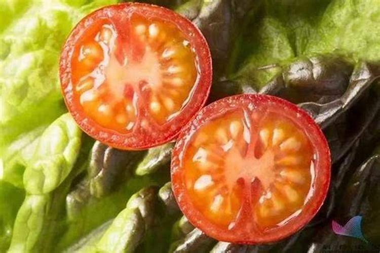 缓控释肥在水稻上的施用技术