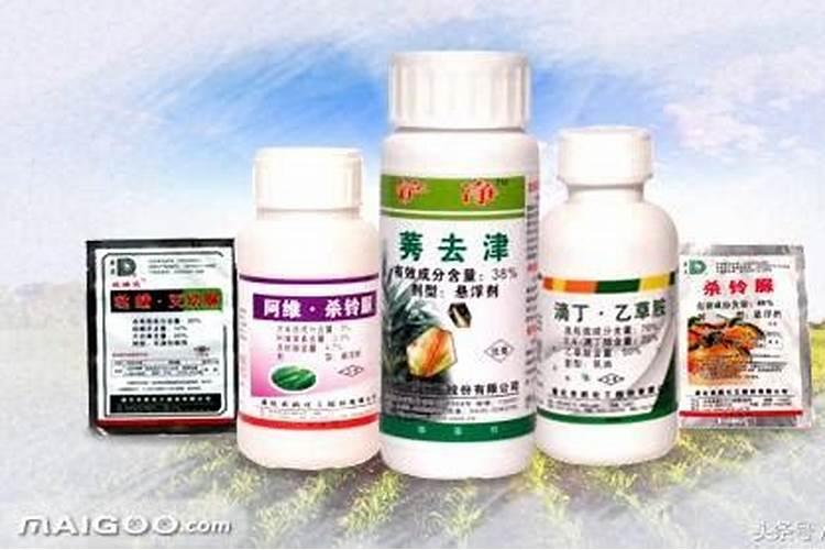 有机磷农药不能给那些肥料一起使用