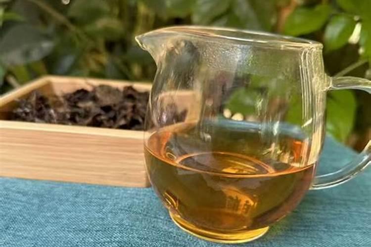 普洱茶能浇花吗