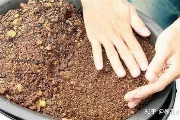 速效复合肥如何使用方法