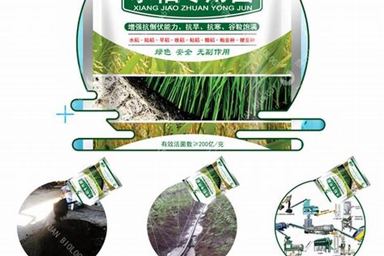 水稻施钾肥正确方法