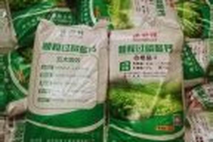 水稻可撒磷肥吗