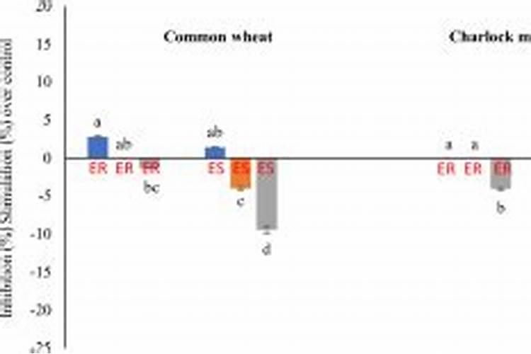 芸苔素加到除草剂里有增效作用吗