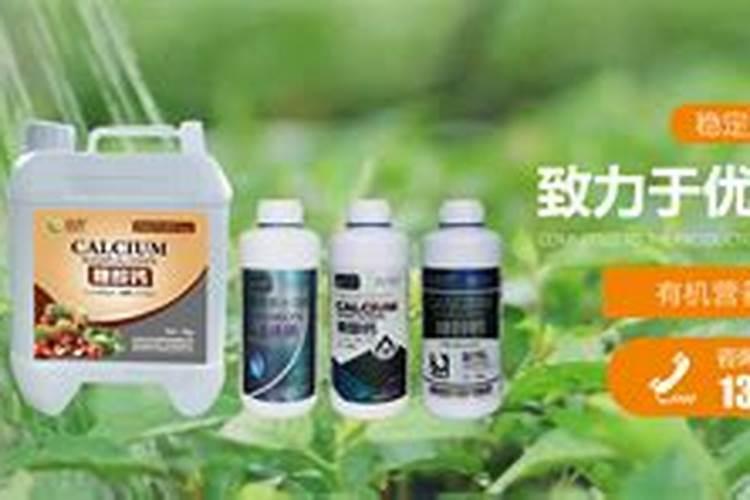 桶装水溶肥和袋装水溶肥的区别,各自优势
