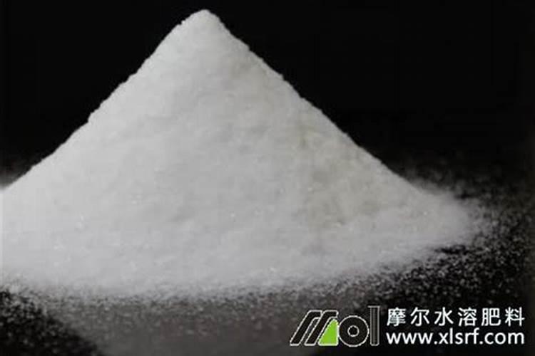 水溶肥给柿子树怎么施用