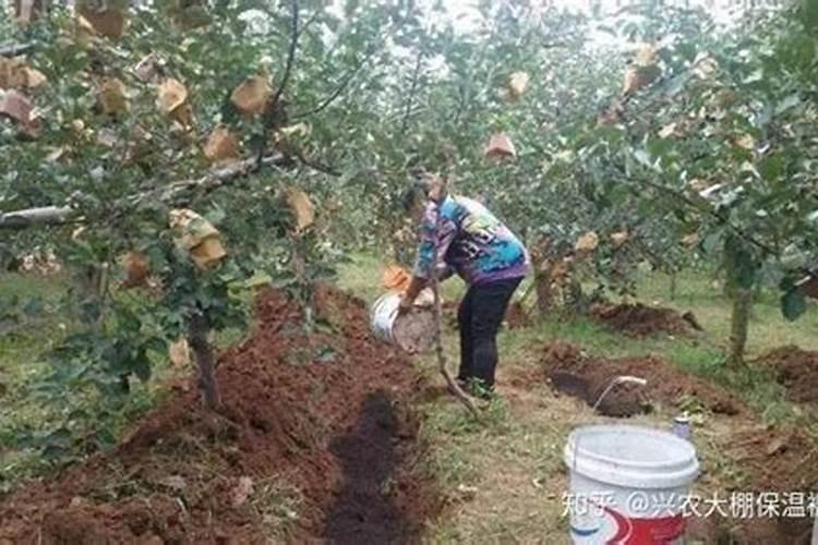 工业硫酸铵的用途使用方法
