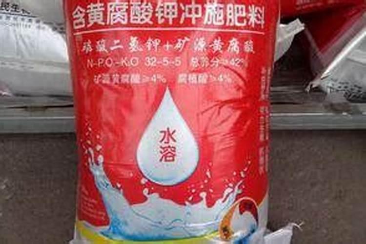 龙眼树施什么水溶肥比较好？