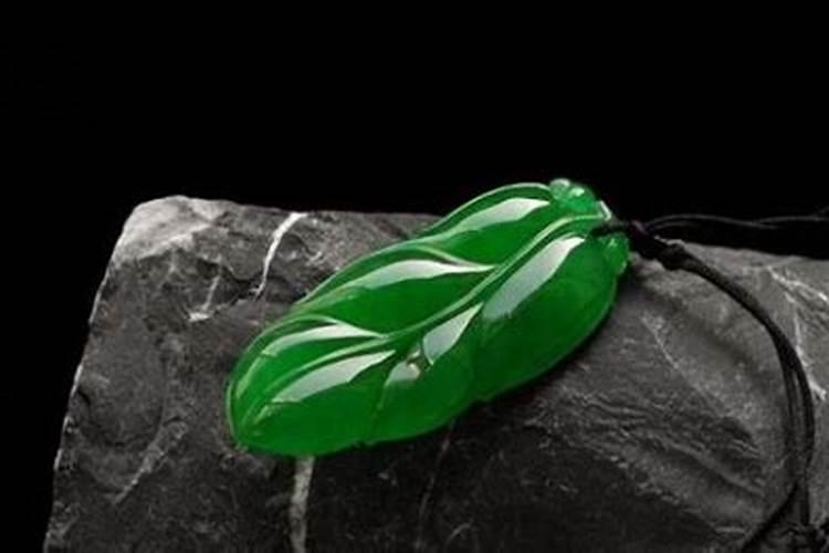 绿翡翠兰花怎么养？主要注意这些内容