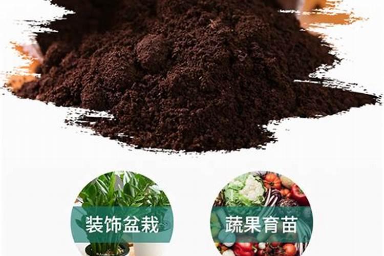 进行黄瓜栽苗操作要用啥鲜有人知的肥料