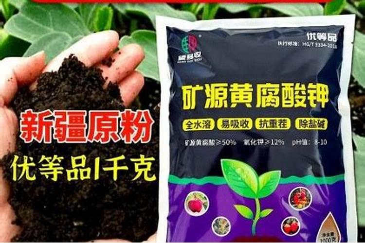 在农村花椒种植中,一亩种多少株合适？用什么肥好？