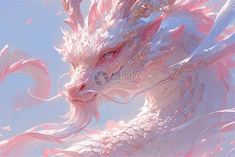 月季入秋养护知识秋季修剪现在开始