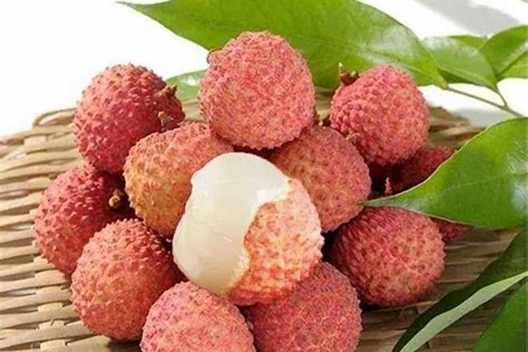 荔枝生长需要的营养