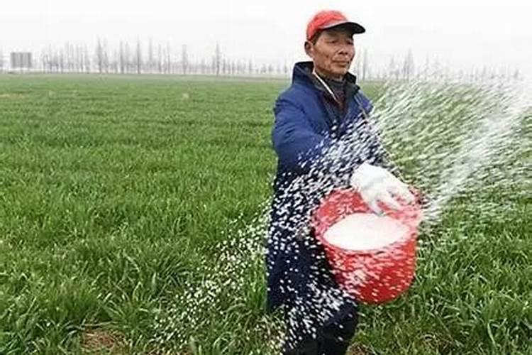 种地先播种还是先施肥