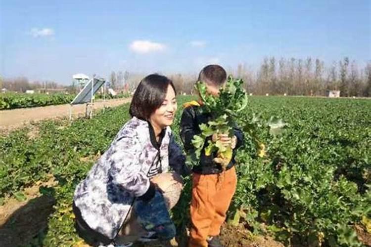 叶面肥有哪些种类？怎么应用比较好？