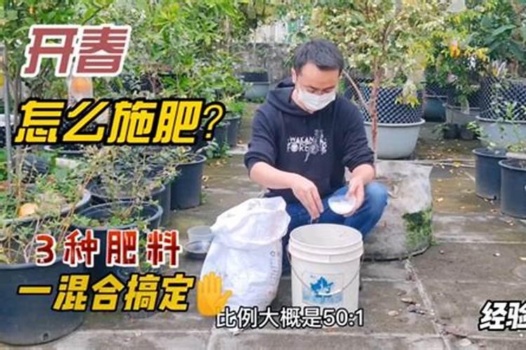 种果树用什么肥料？果树连年种植如何施肥