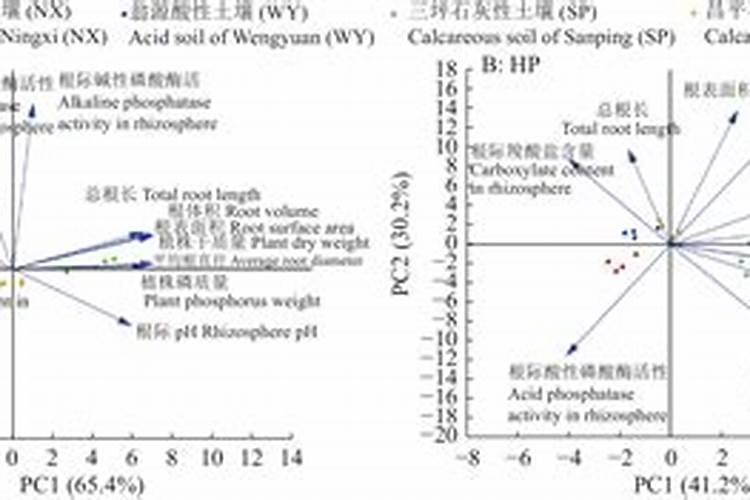 玉米为什么在酸性土壤当中缺磷？