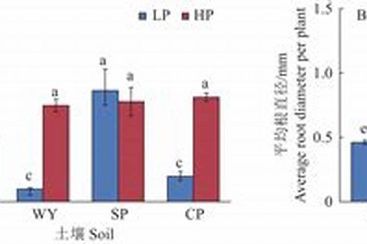 玉米幼苗缺磷的表现有哪些？该怎样快速补磷？