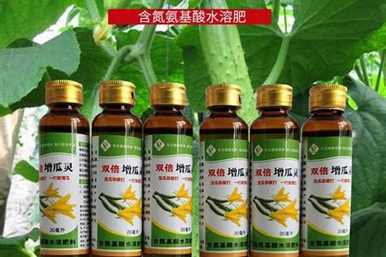 小球藻最简单的培养基配方？