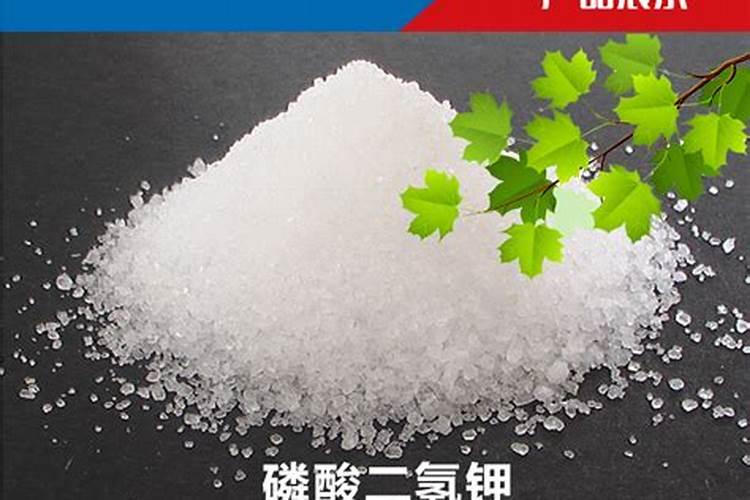 磷酸二氢钾适合多肉吗