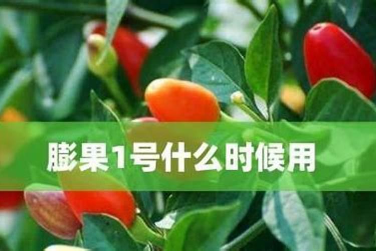 EM菌可以灌根吗