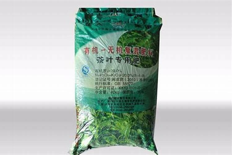 鱼粪适合种植什么植物 鱼缸粪便养什么花好