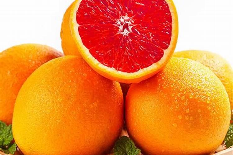 血橙树什么时候施肥最好